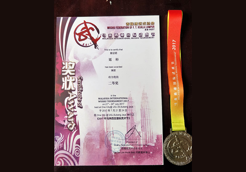 武术名家 金奖