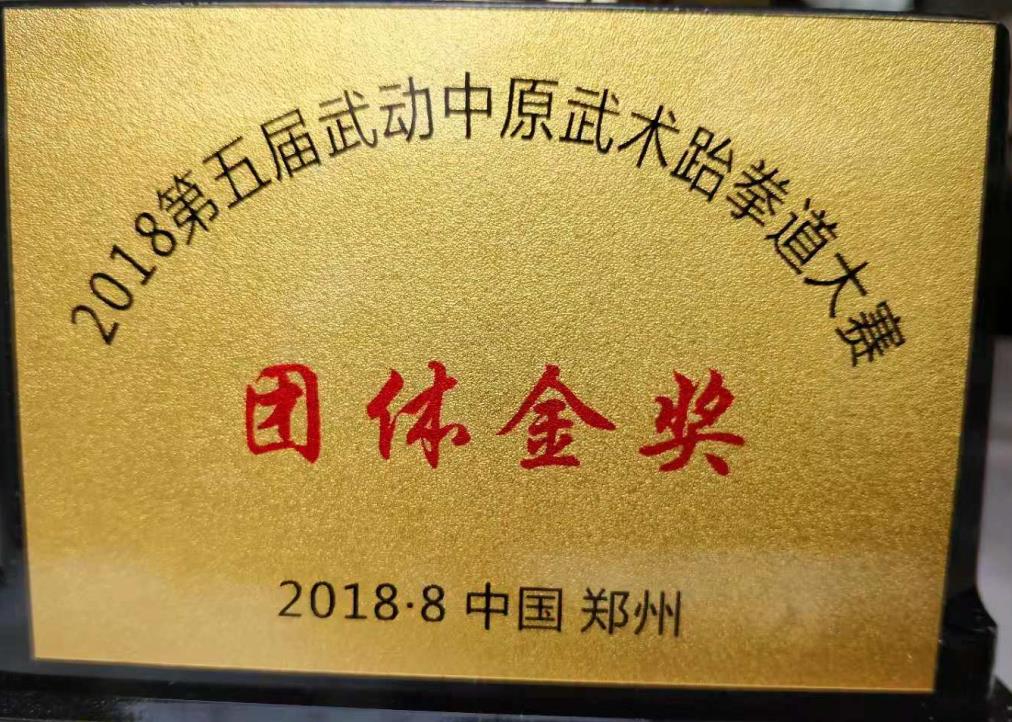 2018年 第五届武动中原 团体金奖