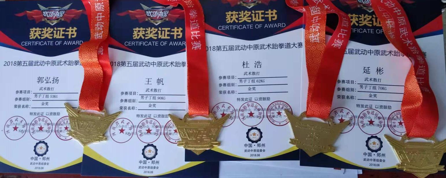 第五届 武动中原 4个级别散打金牌