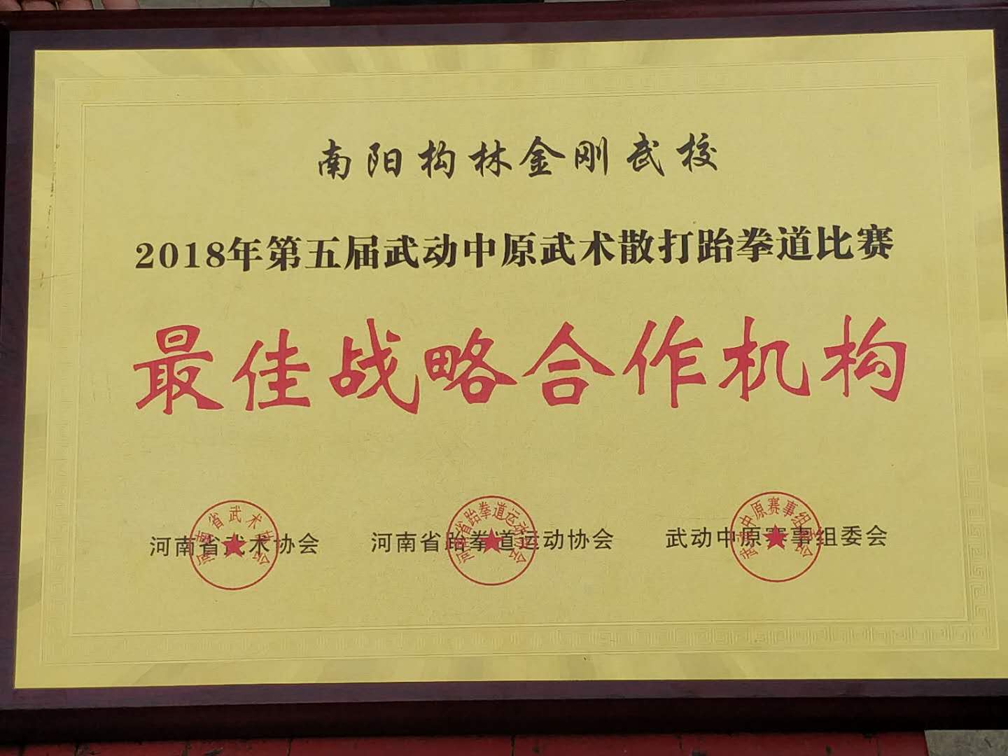 2018年第五届武动中原武术散打 zui佳战略合作机构