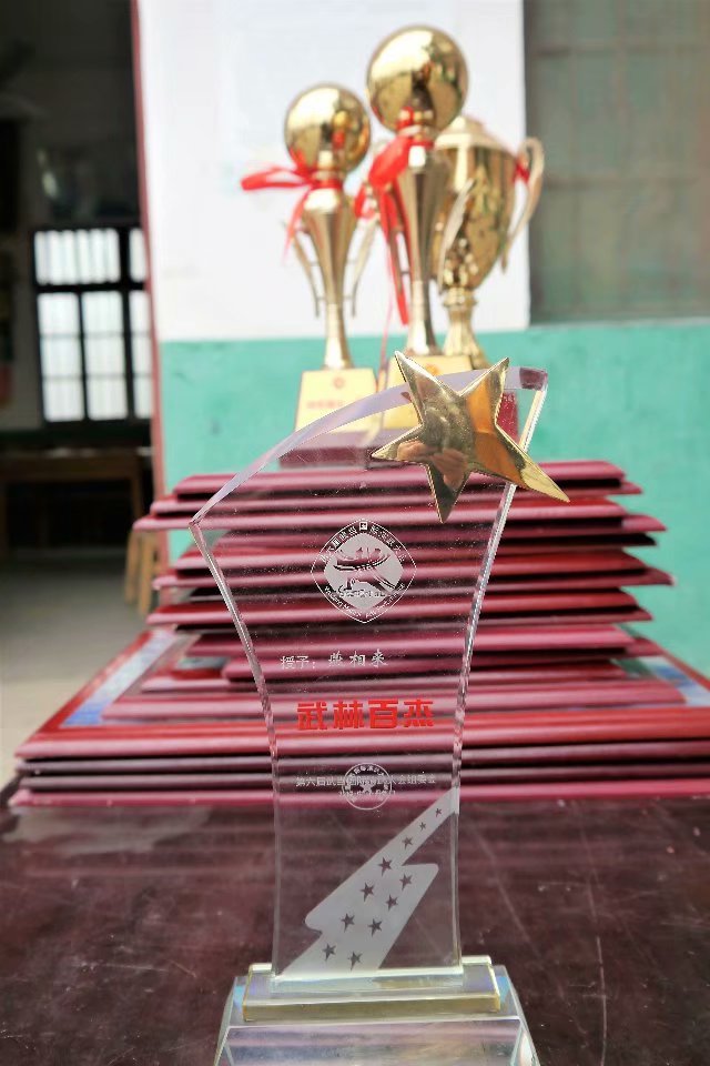 恭贺燕师父获得“武林百杰”荣誉称号