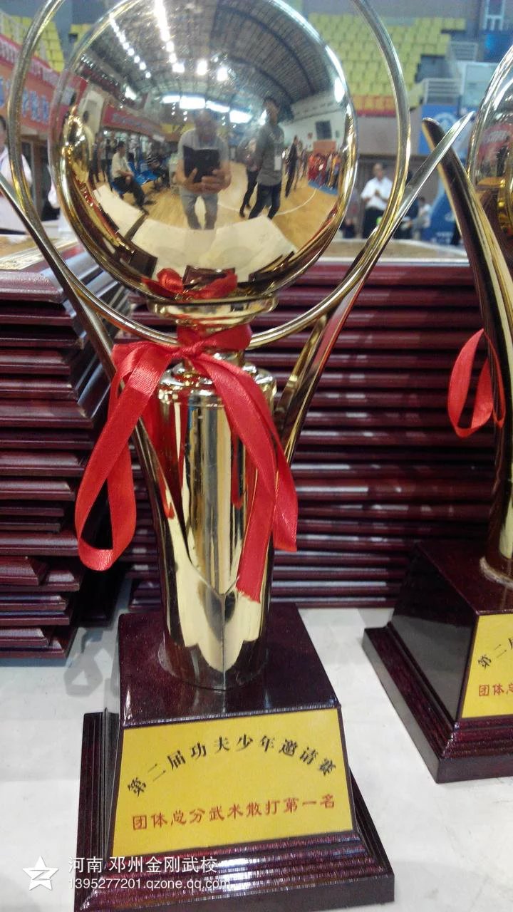 第二届功夫少年武术散打获得很好成绩