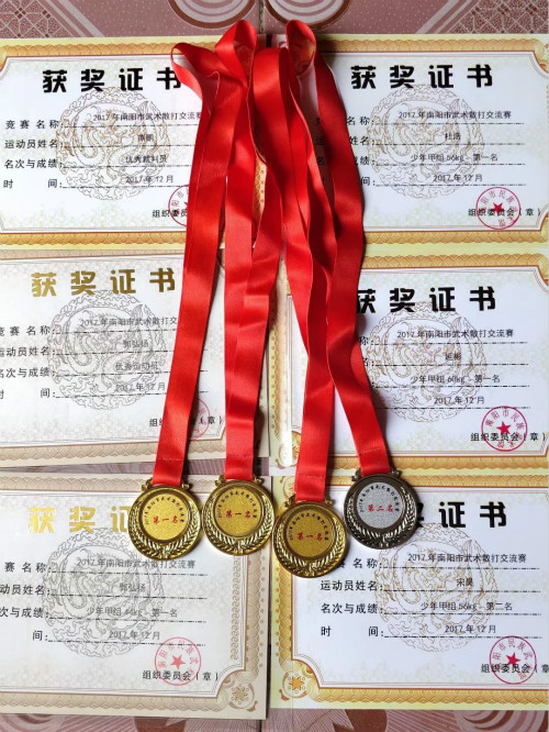 邓州金刚武校获2017南阳市武术散打交流赛奖牌