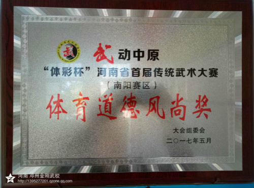 我校在2017年武动中原，河南省首届武术传统大赛中获奖