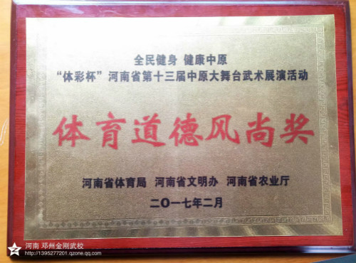 我校在河南省第十三届中原大舞台武术展演比赛中获奖