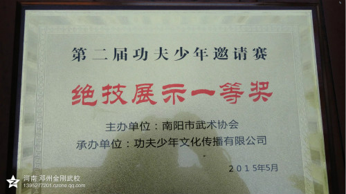 本校在河南省第二届功夫少年邀请赛(南阳赛区)四名队员参加散打比赛中获奖
